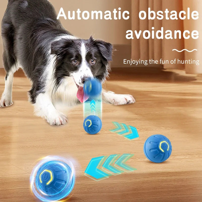 Zoom-Paw Interactive Pet Ball Pups N Treats