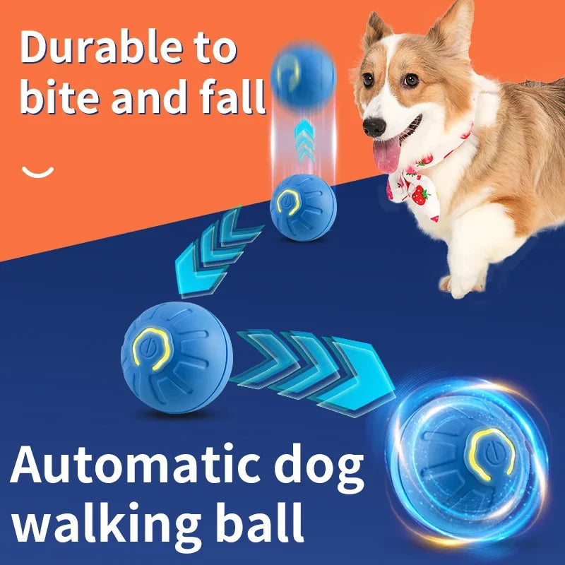 Zoom-Paw Interactive Pet Ball Pups N Treats