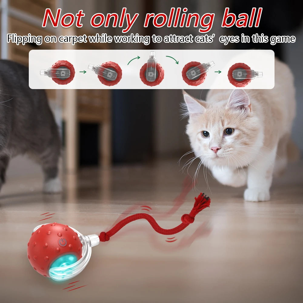 Chirpy Cat Ball Pups N Treats